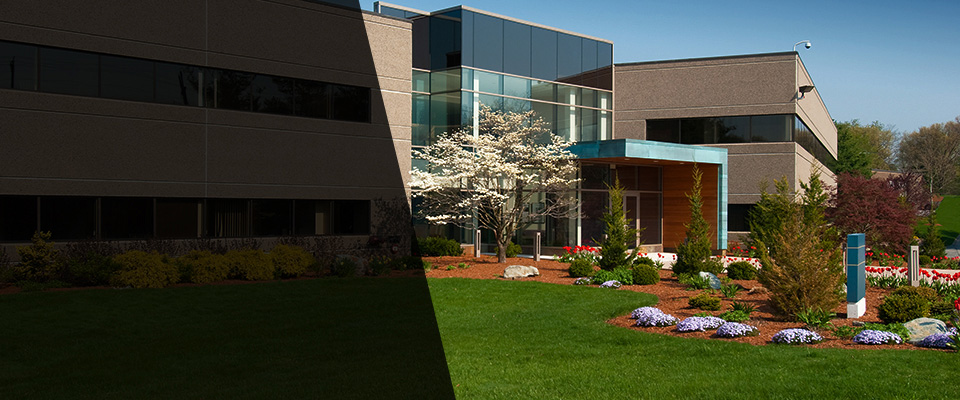 Mahanoy City Landscapers