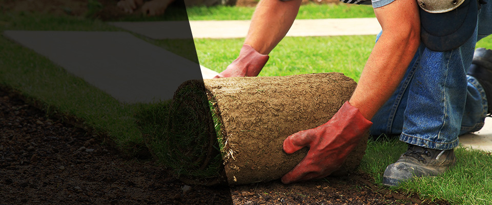 Mahanoy City Landscapers